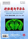 神经解剖学杂志