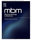 力学生物学与医学（英文）（Mechanobiology in Medicine）（OA期刊）