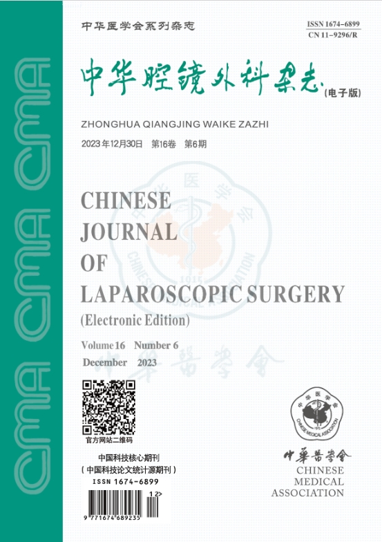 中华腔镜外科杂志（电子版）