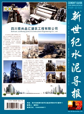 新世纪水泥导报