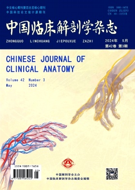 中国临床解剖学杂志