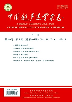 中国超声医学杂志