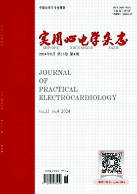 实用心电与临床诊疗（原:实用心电学杂志；江苏实用心电学杂志）