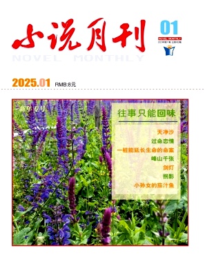 小说月刊