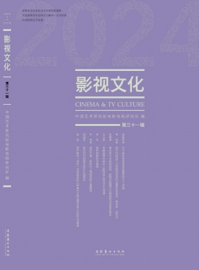 影视文化（集刊）