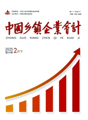 中国乡镇企业会计