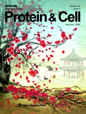 蛋白质与细胞（英文版）（Protein & Cell）