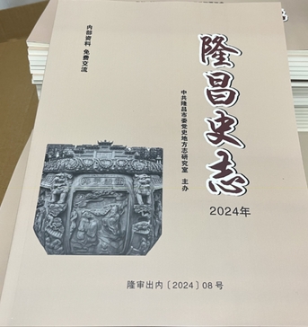 隆昌史志（内刊）