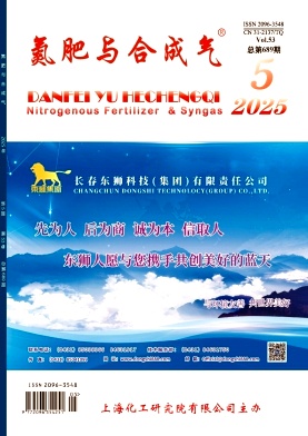 氮肥与合成气（原：小氮肥）