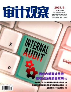 审计观察（原：人民公仆）