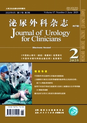 泌尿外科杂志（电子版）