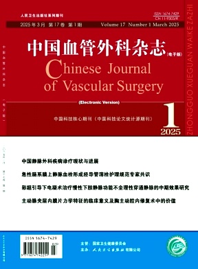 中国血管外科杂志（电子版）