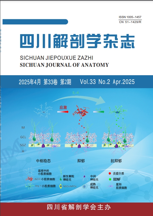 四川解剖学杂志