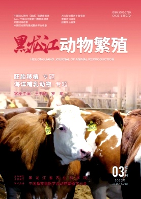 黑龙江动物繁殖