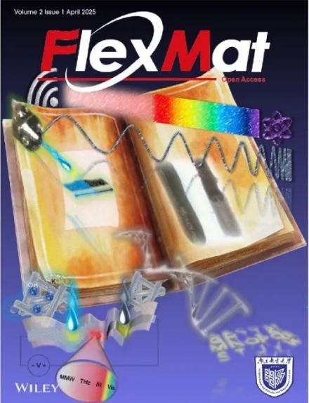 柔性电子材料（英文）（FlexMat）（国际刊号）