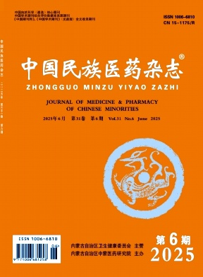 中国民族医药杂志
