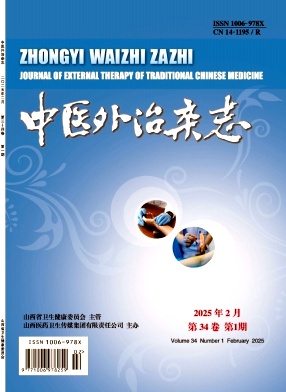 中医外治杂志