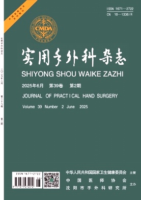 实用手外科杂志