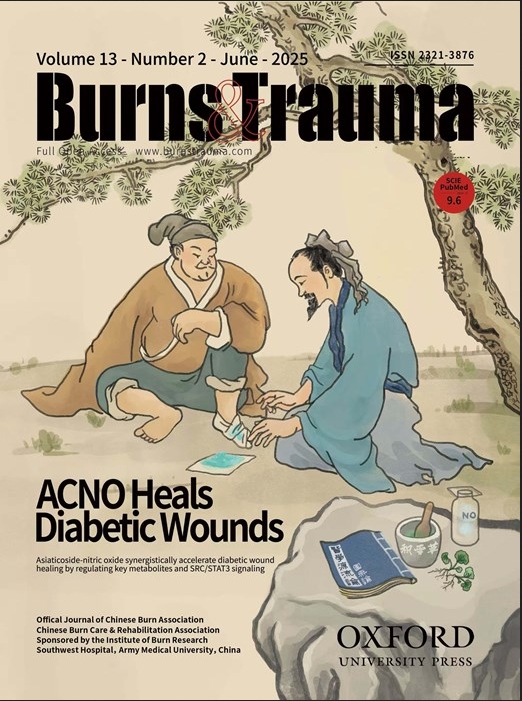 烧伤与创伤（英文）（Burns & Trauma）（国际刊号）（OA期刊）