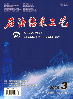 石油钻采工艺