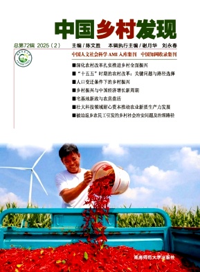 中国乡村发现（集刊）