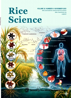 水稻科学（英文版）（Rice Science ）（原：中国水稻研究通报（英文版）（Chinese Rice Research Newsletter））
