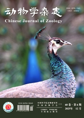 动物学杂志