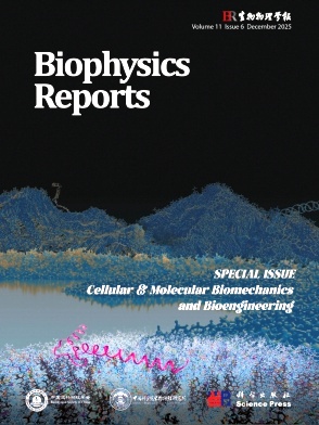 生物物理学报（英文版）（Biophysics Reports）（原：生物物理学报（中文版））（OA期刊）（不收版面费审稿费）