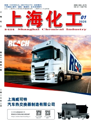 上海化工