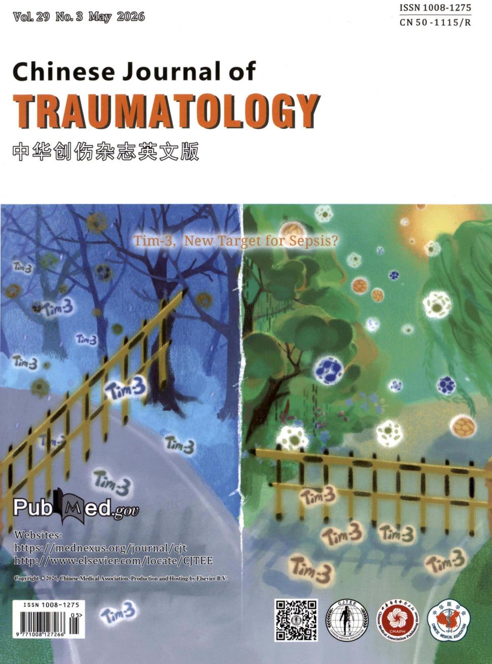 中华创伤杂志（英文版）（Chinese Journal of Traumatology）