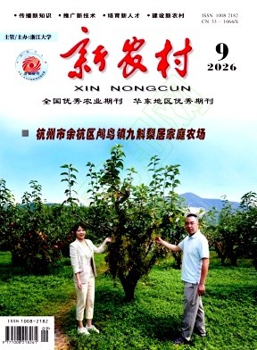 新农村